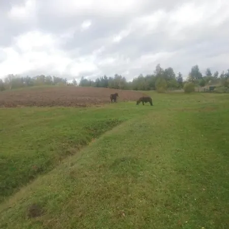 度假居 A&r Kaszuby Natura Dom Wypoczynek