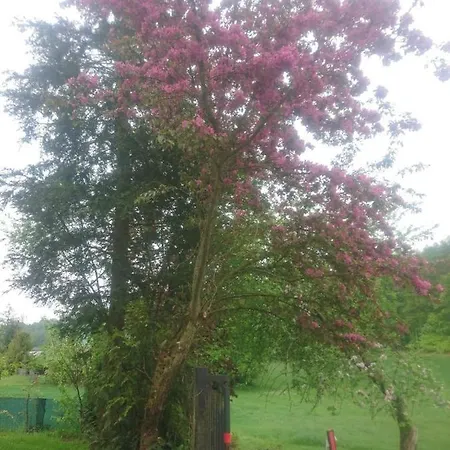 A&r Kaszuby Natura Dom Wypoczynek 度假居