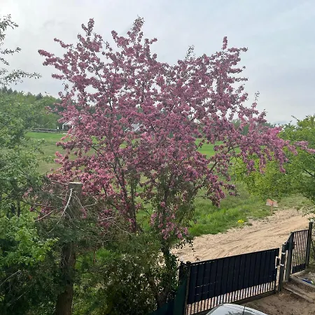 A&r Kaszuby Natura Dom Wypoczynek *