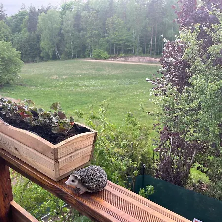Дом отдыха A&r Kaszuby Natura Dom Wypoczynek Gowidlino