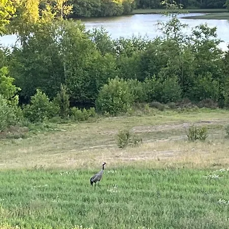 A&r Kaszuby Natura Dom Wypoczynek 度假居 *